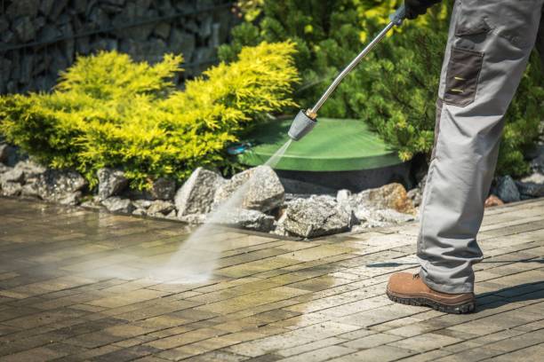 Best Dumpster Area Cleaning  in Ship Bottom, NJ