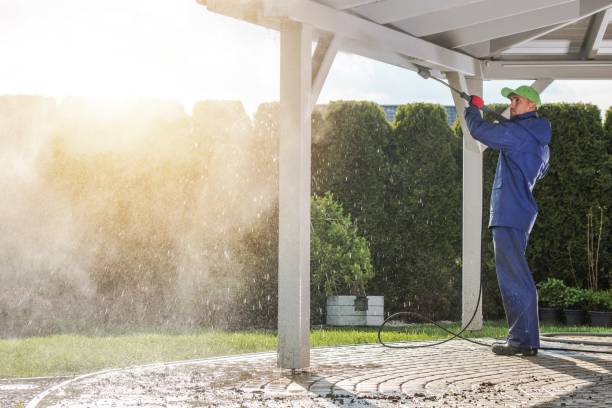 Animal Enclosure Cleaning in Ship Bottom, NJ